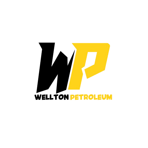 Blue_Modern_Company_Logo__1_-removebg-preview